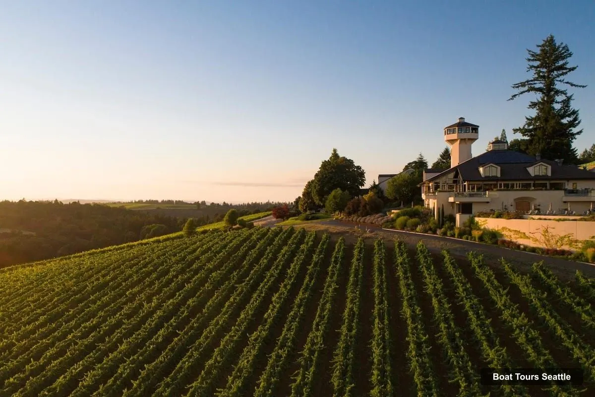 Seattle Boat Cruises – Wine Pairing Dinner Cruise with 4-Course Meal
