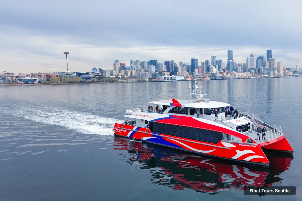 Seattle Harbor Cruise – Wildlife and Whale Watching Cruise (photo 2)