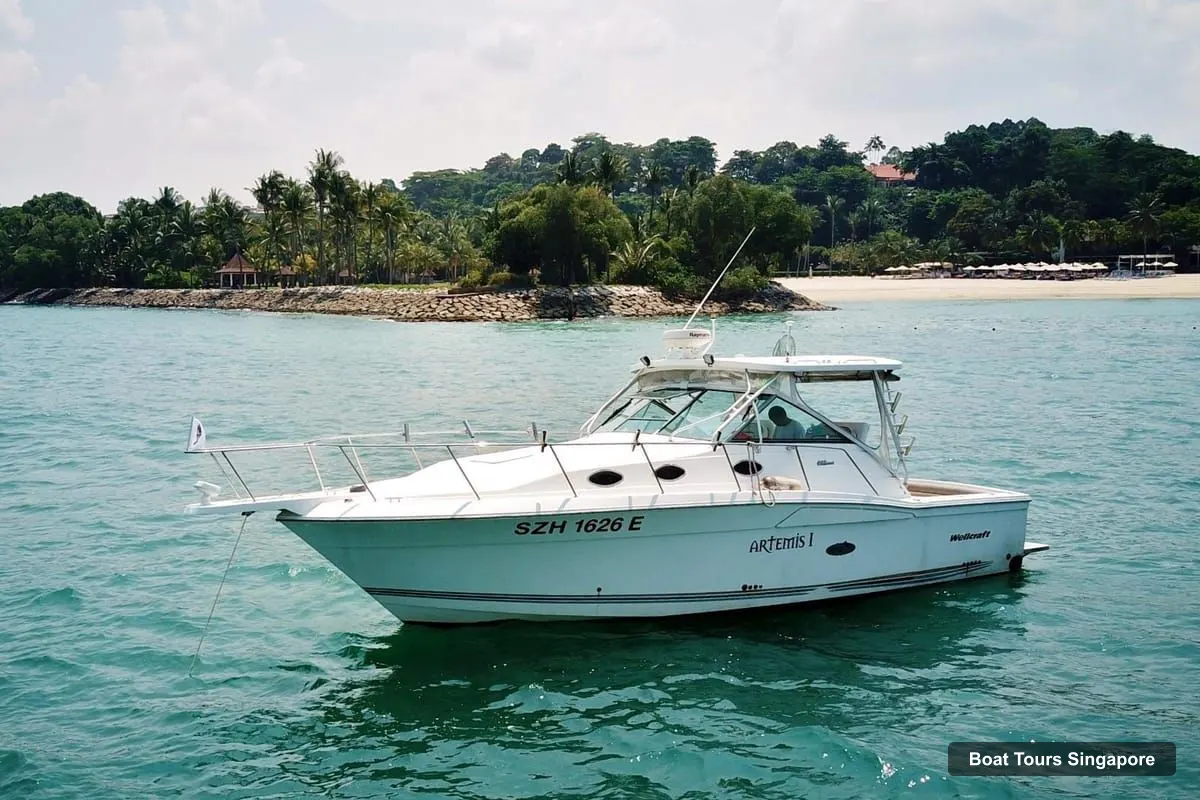 Boat Tours in Singapore – Private Sunset Dinner Cruise on Modern 34 ft Yacht (photo 5)