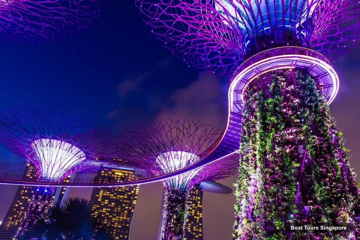 Singapore Boat Cruises – Singapore Night River Cruise with Garden Rhapsody & Spectra (photo 5)