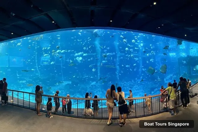 Singapore Oceanarium, Singapore – Singapore Boat Cruises