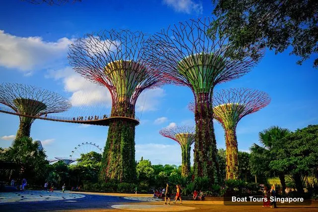 Supertree Grove, Singapore – Singapore Boat Trips