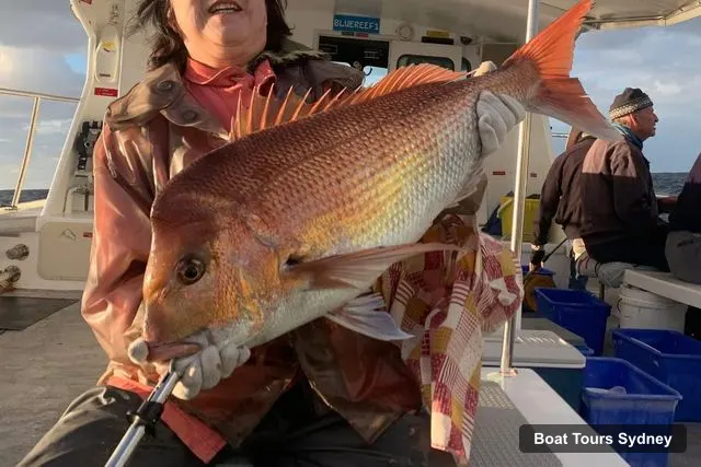Sydney Harbor Cruise – 4-Hour Offshore Deep Sea Fishing Charter From Manly