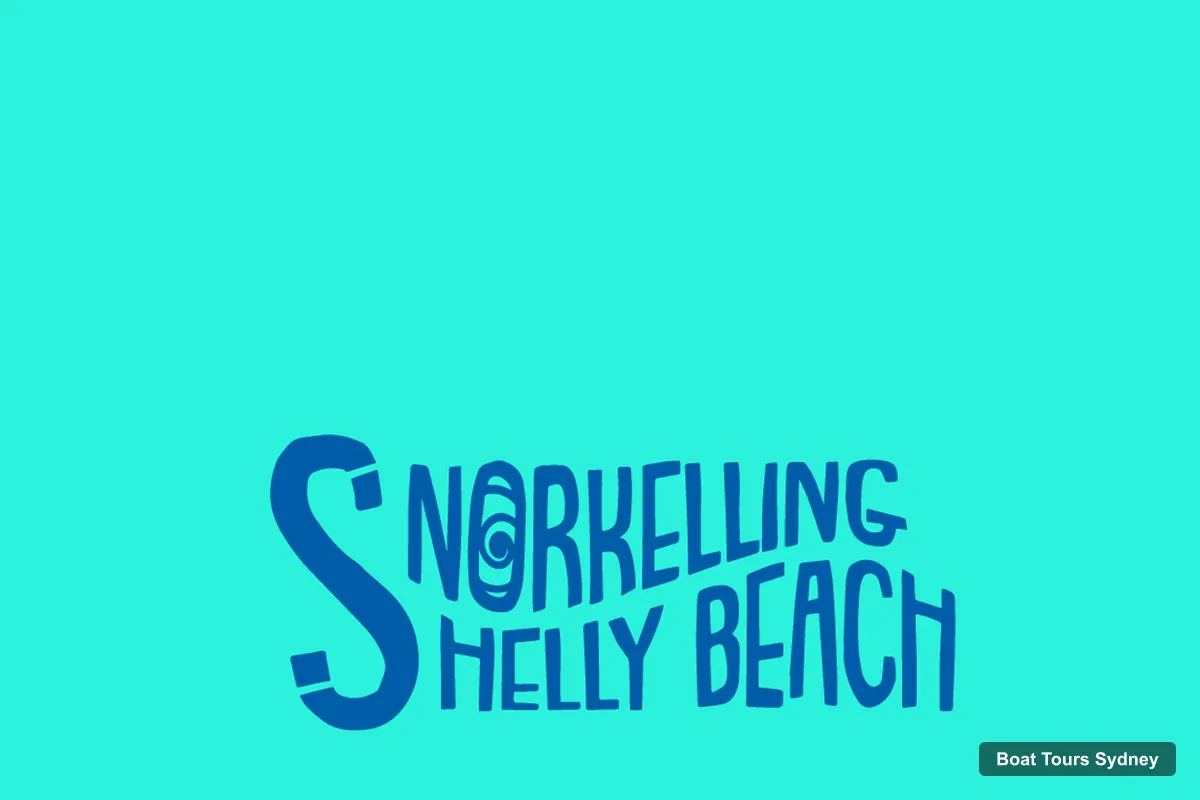 Sydney Boat Cruises – Manly Beach: Guided Snorkeling Tour in a Marine Sanctuary (photo 2)