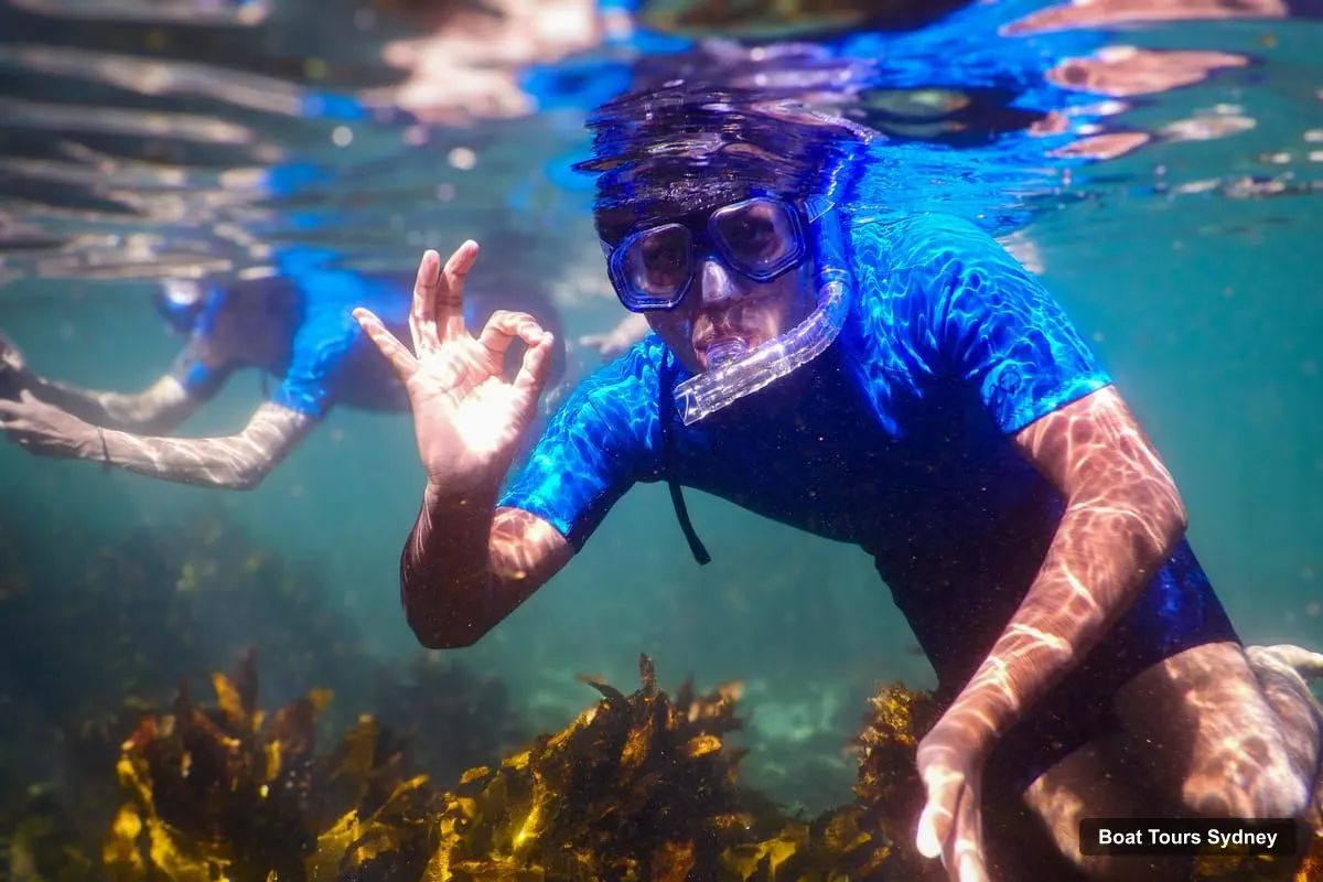 Sydney Boat Cruises – Small-Group Marine-Life Snorkeling Tour (photo 4)