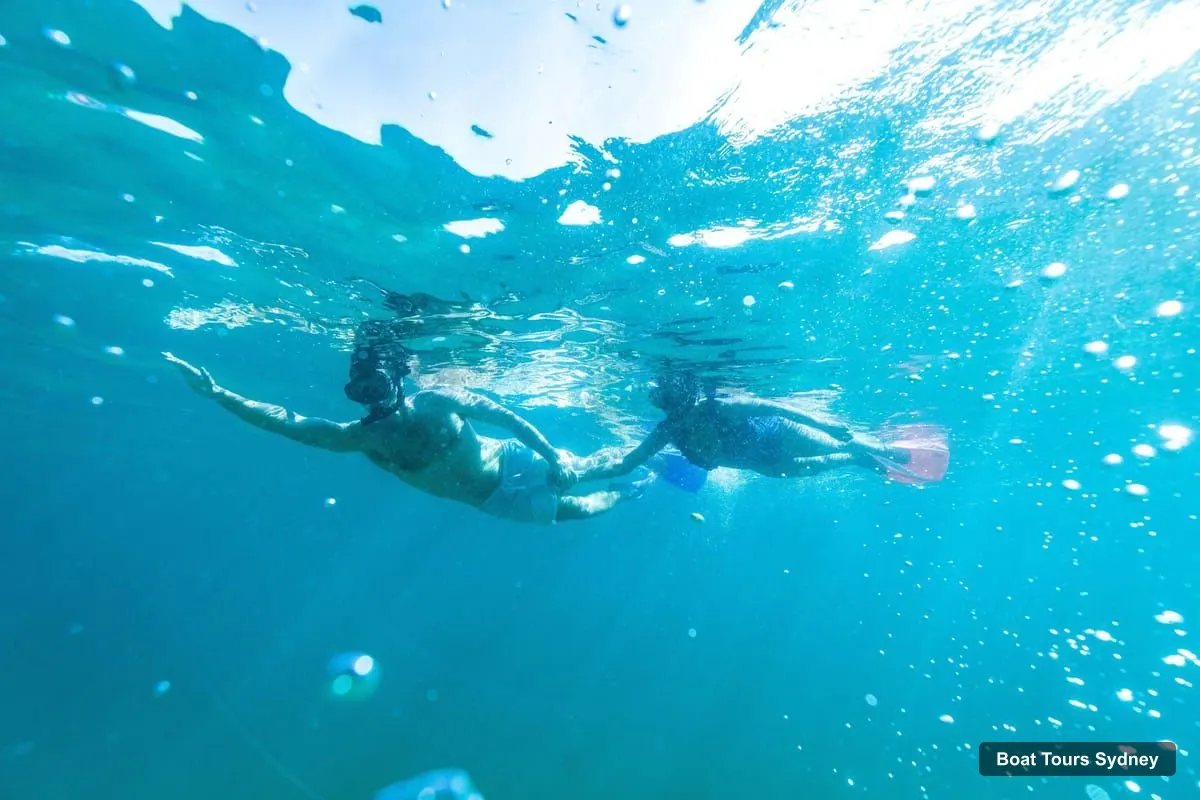 Sydney Boat Trips – Rocky-Reef Snorkeling Tour at Manly & Shelly Beach (photo 4)