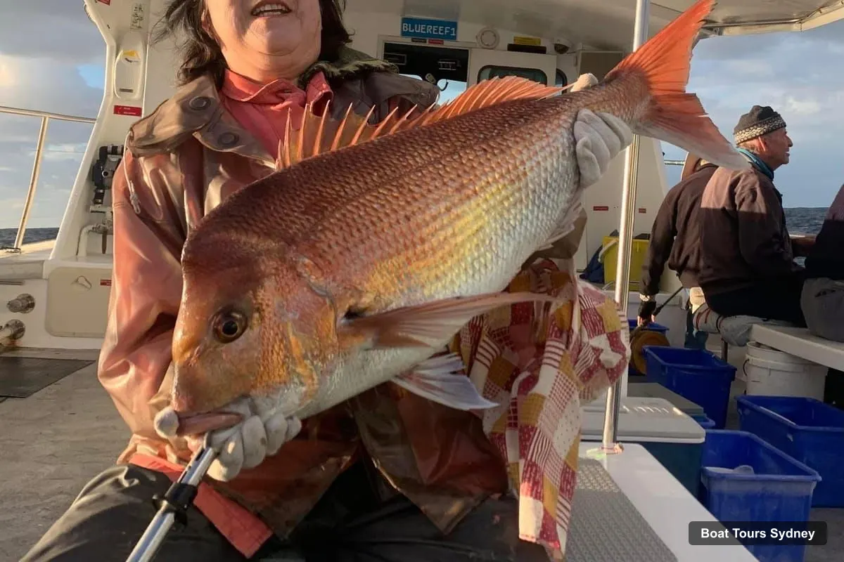 Sydney Harbor Cruise – 7-Hour Offshore Deep-Sea Fishing Charter from Manly (photo 4)