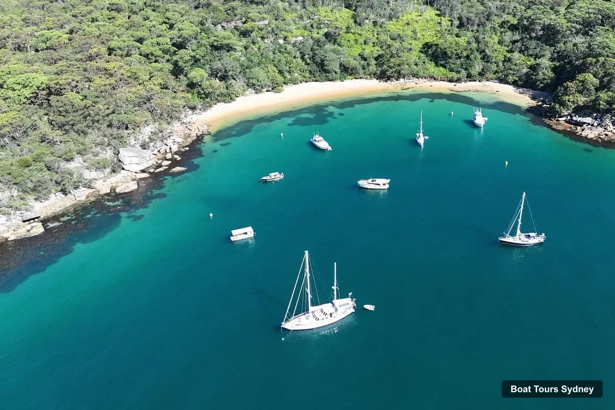 Sydney Harbor Cruise – Guided Kayak Tour of Manly Cove Beaches (photo 5)