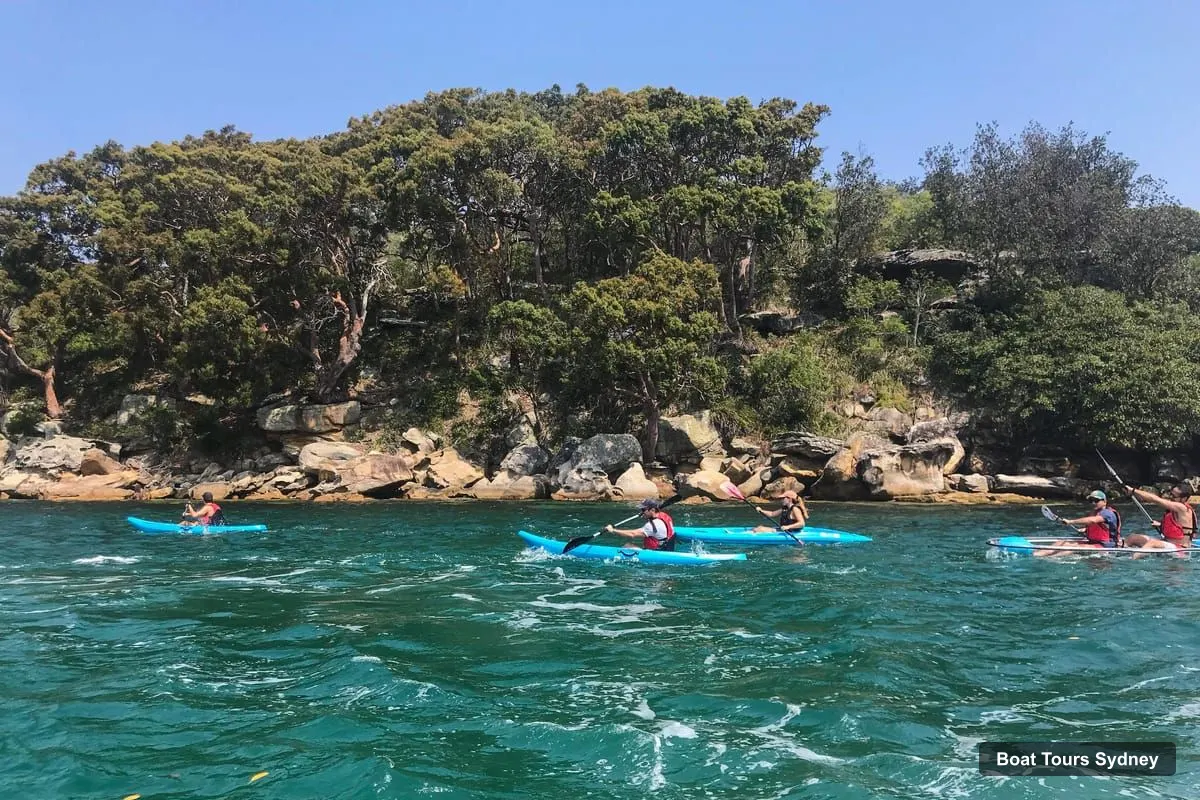 Sydney Harbor Cruise – Guided Kayak Tour of Manly Cove Beaches