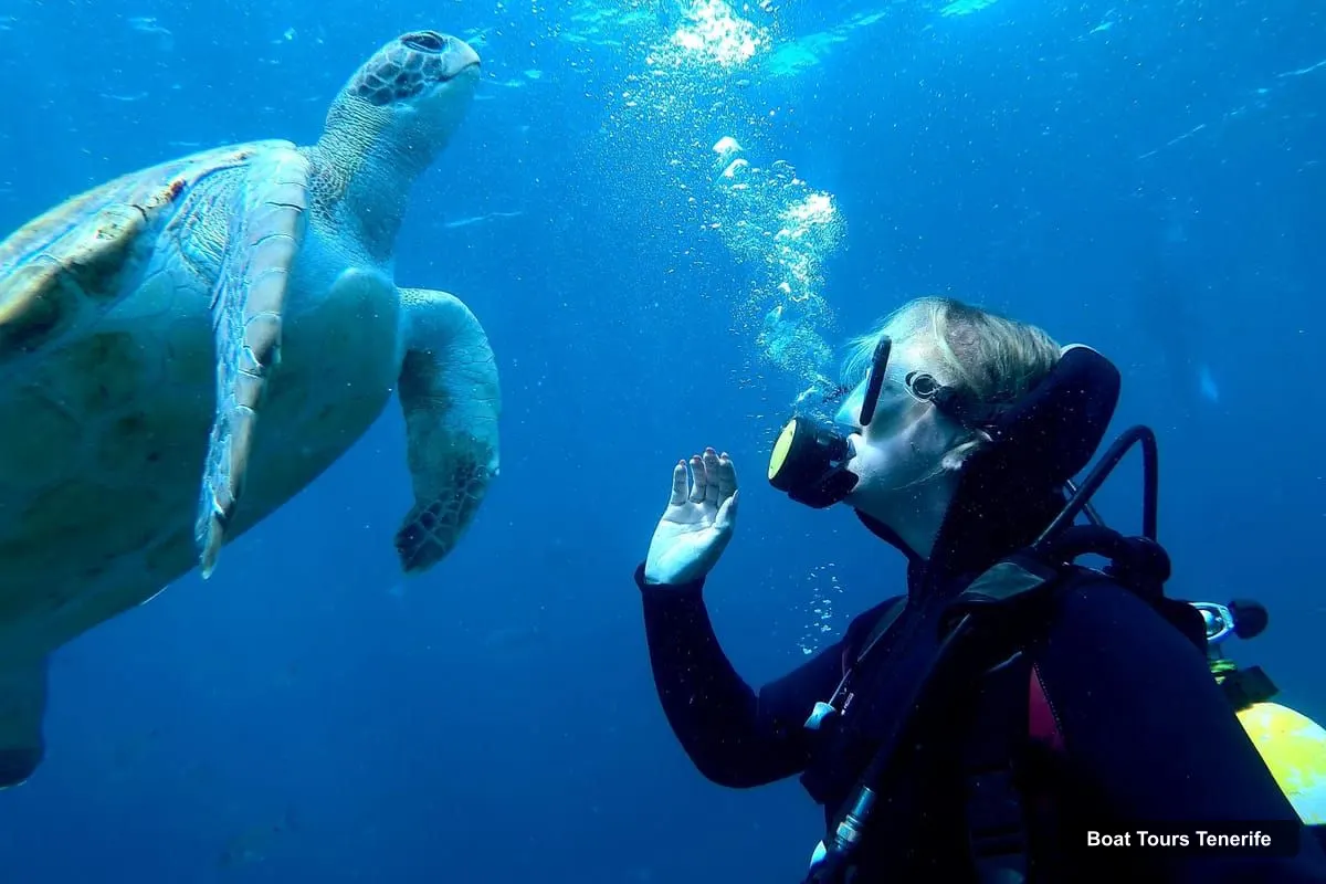 Boat Tours in Tenerife – 2-in-1 Scuba Diving & Snorkeling in Turtle Habitat (photo 3)