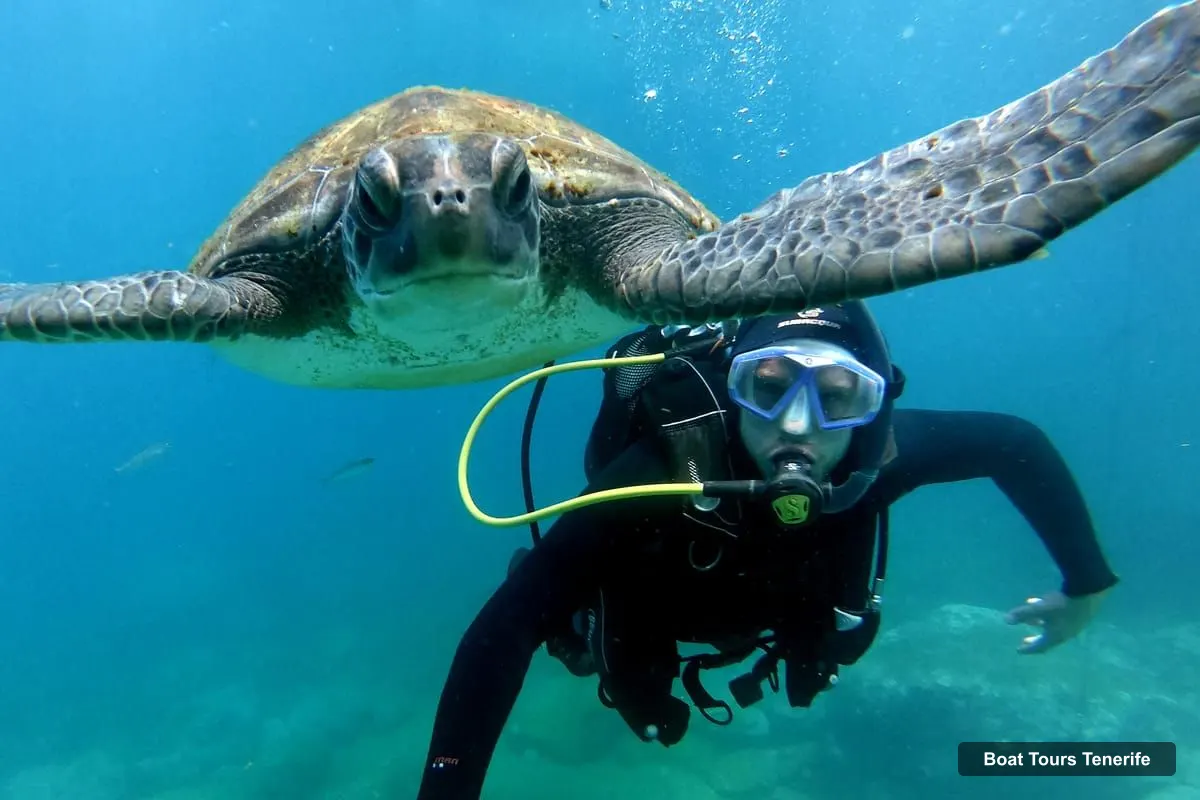 Boat Tours in Tenerife – 2-in-1 Scuba Diving & Snorkeling in Turtle Habitat