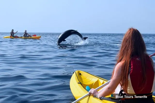 Boat Tours in Tenerife – Kayak & Snorkel with Marine Wildlife + Free Videos
