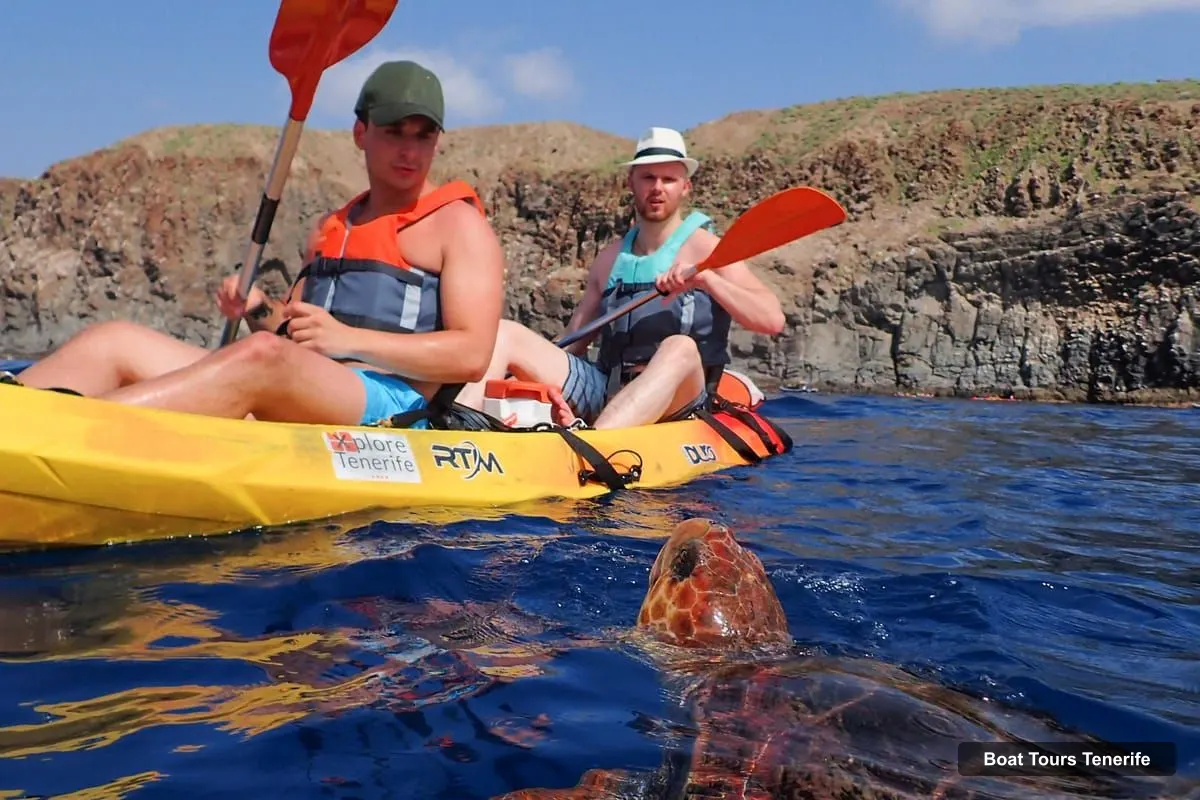 Boat Tours in Tenerife – Kayak & Snorkel with Marine Wildlife + Free Videos (photo 2)