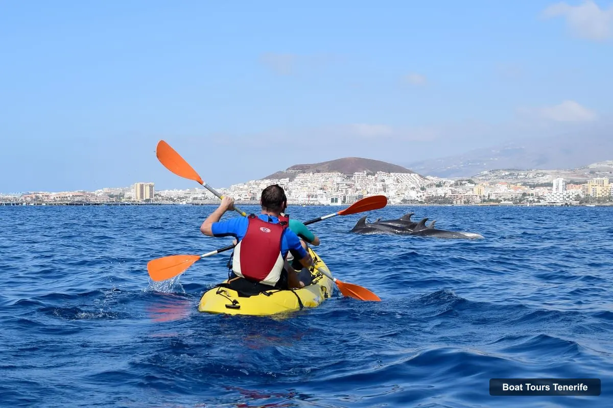 Boat Tours in Tenerife – Kayak & Snorkel with Marine Wildlife + Free Videos (photo 4)