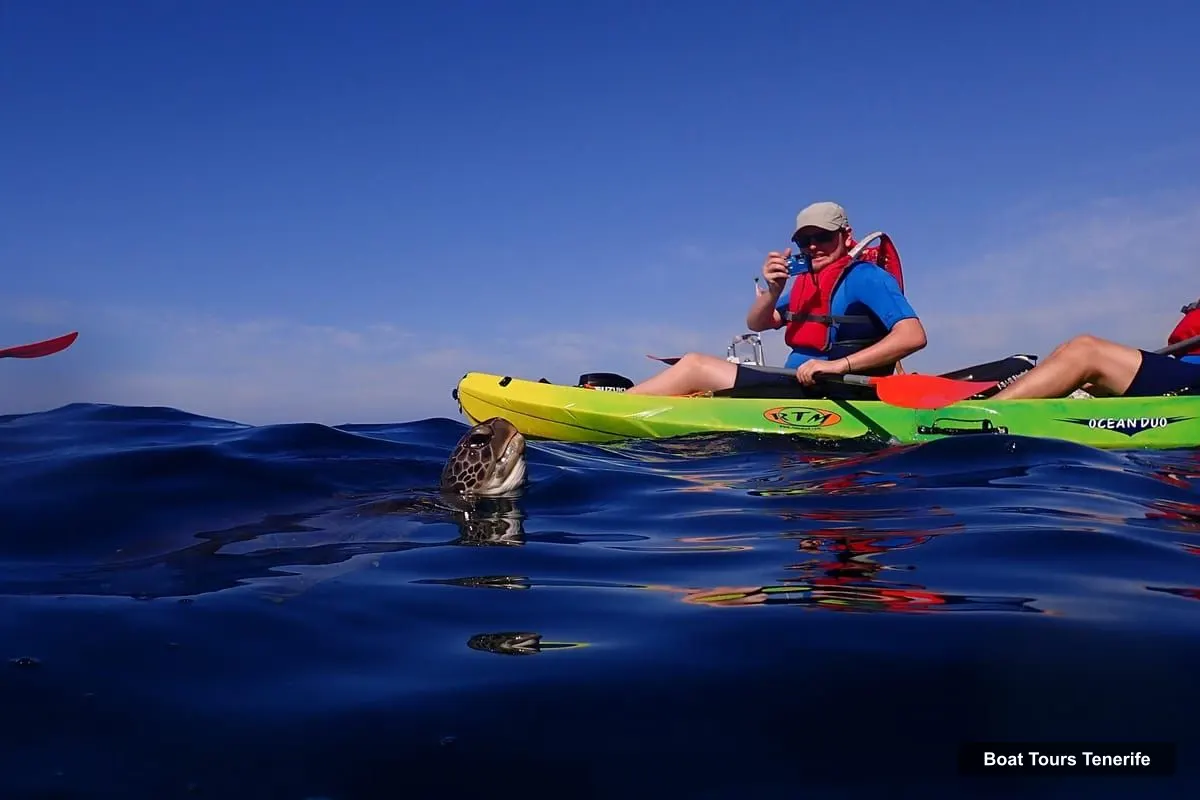 Boat Tours in Tenerife – Kayak & Snorkel with Marine Wildlife + Free Videos (photo 5)