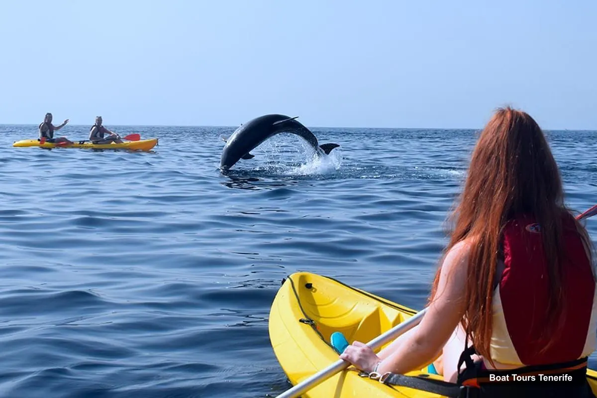 Boat Tours in Tenerife – Kayak & Snorkel with Marine Wildlife + Free Videos