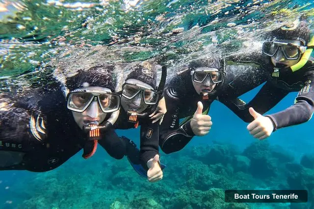 Boat Tours Tenerife – Snorkeling in a Marine Protected Area- Free Videos