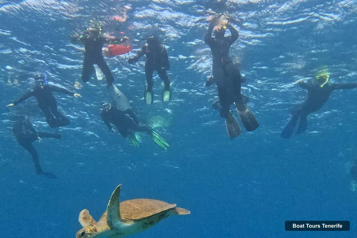 Boat Tours Tenerife – Snorkeling in a Marine Protected Area- Free Videos (photo 2)