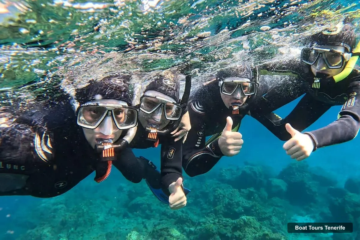 Boat Tours Tenerife – Snorkeling in a Marine Protected Area- Free Videos