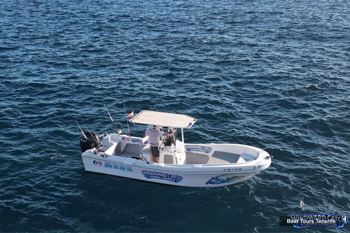 Boat Tours Tenerife – South Tenerife: 2-Hour Express Fishing Charter (photo 2)