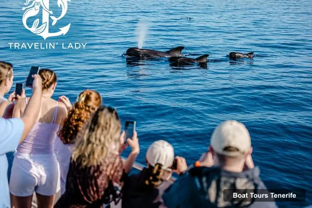 Boat Tours Tenerife – Travelin’ Lady: Eco Yacht Whale & Dolphin Safari + Swim