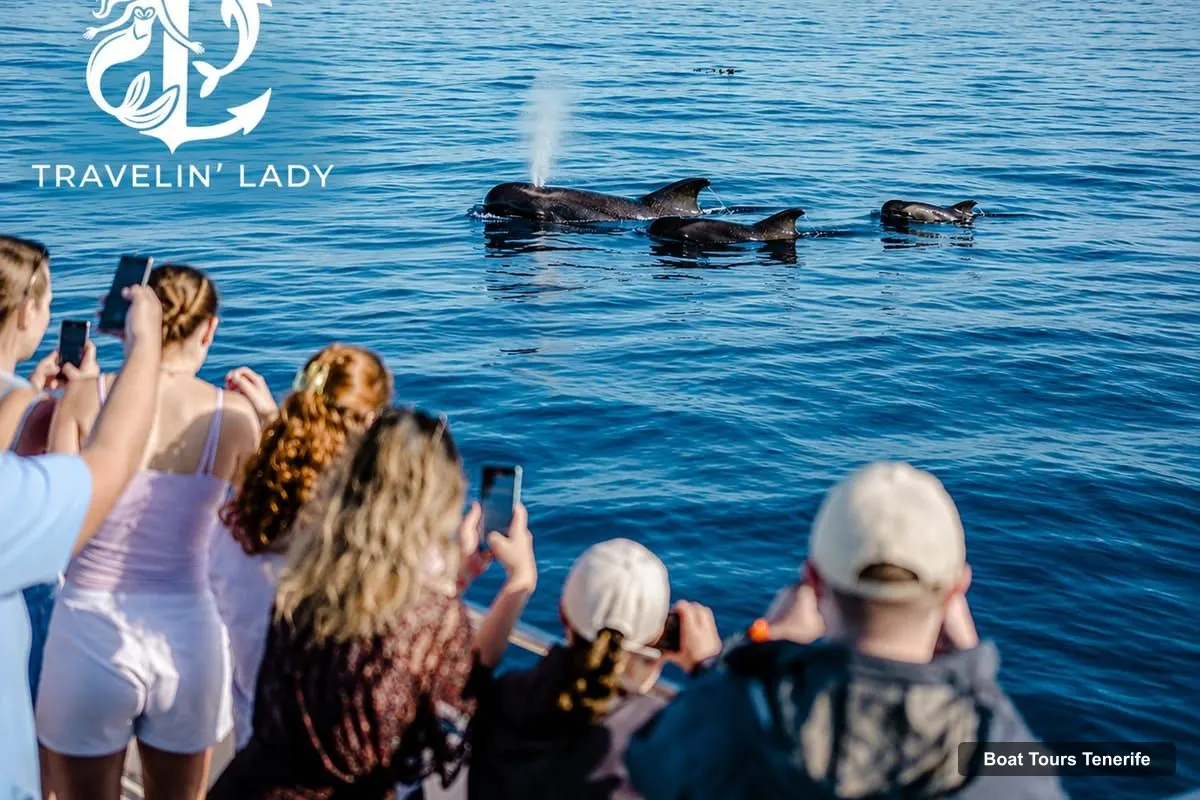 Boat Tours Tenerife – Travelin’ Lady: Eco Yacht Whale & Dolphin Safari + Swim