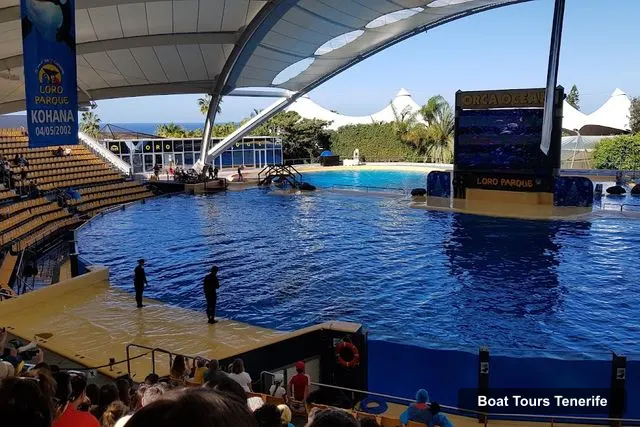 Loro Parque, Tenerife – Boat Tours Tenerife