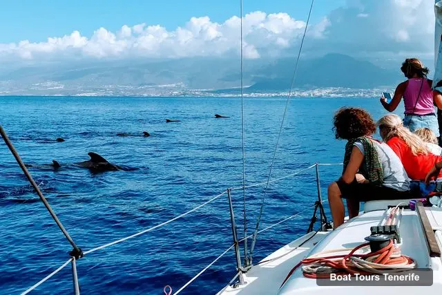 Maco Yacht – Whale Watching & Dolphin Tour Tenerife - Costa Adeje – Maco Yacht – Whale Watching & Dolphin Tour Tenerife - Costa Adeje, Tenerife – Tenerife Boat Trips
