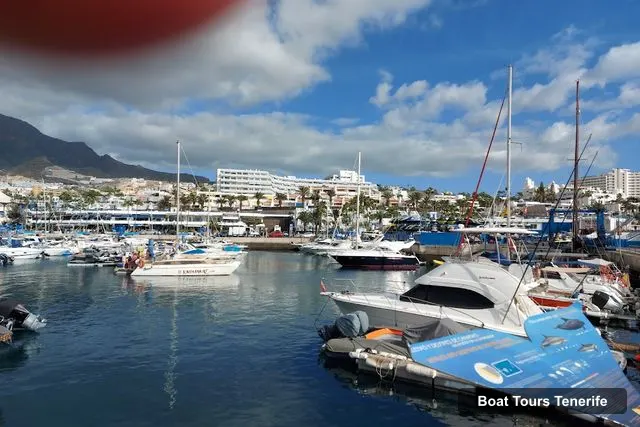 Puerto Colón, Tenerife – Tenerife Boat Trips