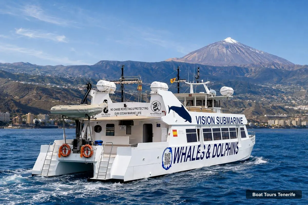 Tenerife Boat Trips – Eco No-Chase Respectful Whale & Dolphin Encounter (photo 4)