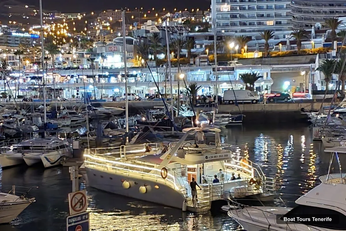 Tenerife Boat Trips – Sunset Catamaran Tour with Transfer, Buff & Drinks (photo 2)
