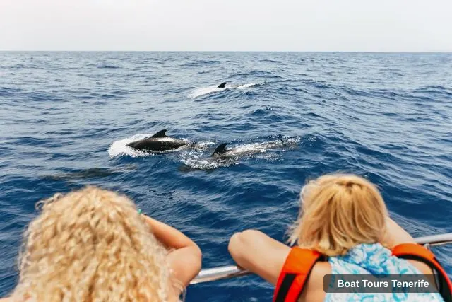 Tenerife Boat Trips – Whale Watching Catamaran Tour with Drinks