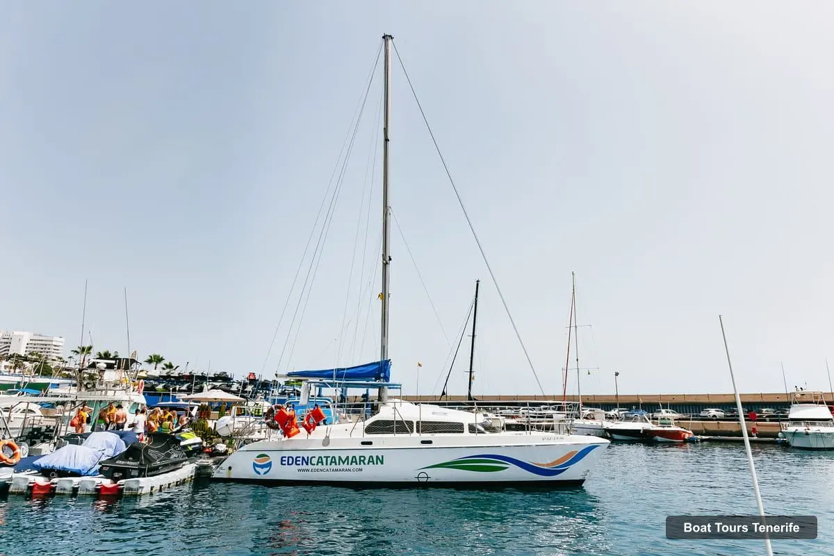Tenerife Boat Trips – Whale Watching Catamaran Tour with Drinks (photo 4)