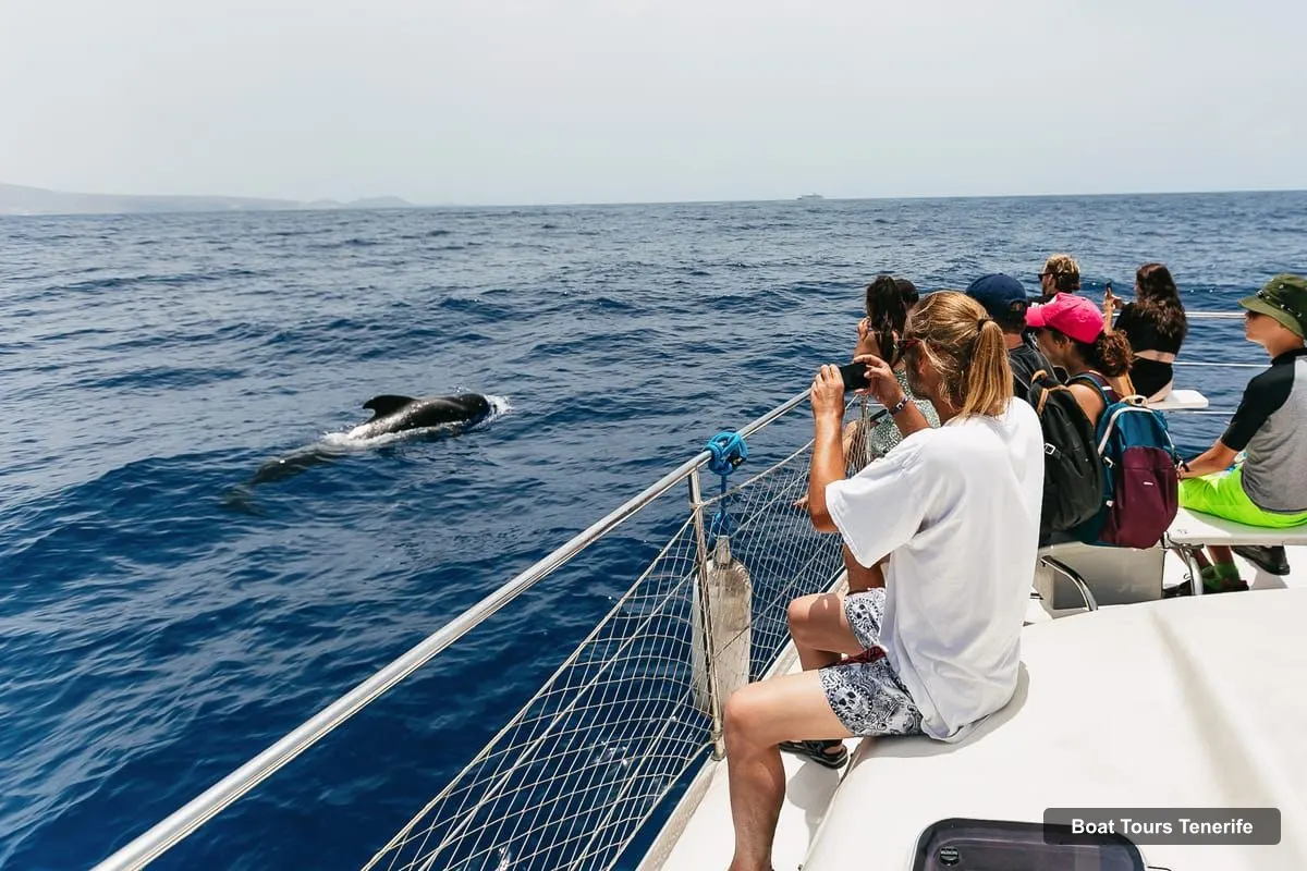 Tenerife Boat Trips – Whale Watching Catamaran Tour with Drinks (photo 5)