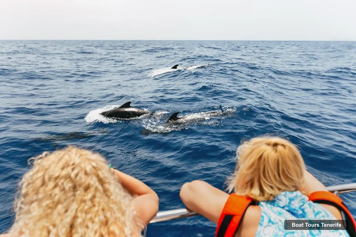 Tenerife Boat Trips – Whale Watching Catamaran Tour with Drinks