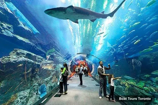 Ripley's Aquarium of Canada, Toronto – Boat Tours in Toronto