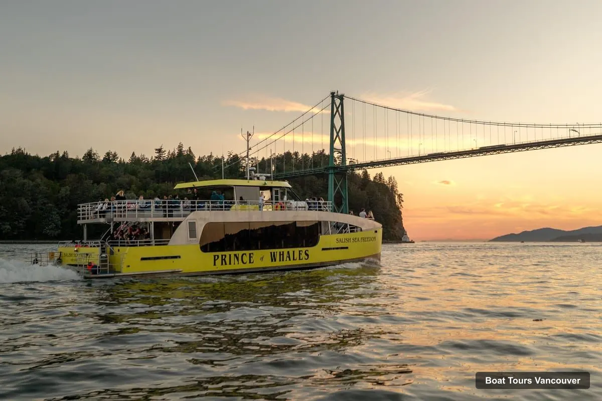 Boat Tours Vancouver – Whale & Wildlife Watching Tour with Free Photos (photo 4)