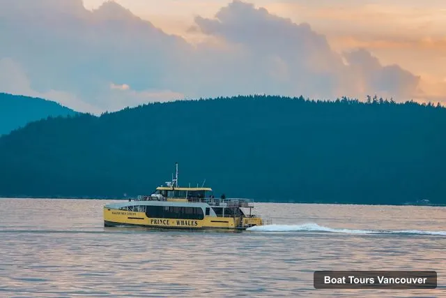 Prince of Whales - Whale & Marine Wildlife Adventures Vancouver, Vancouver – Boat Tours in Vancouver
