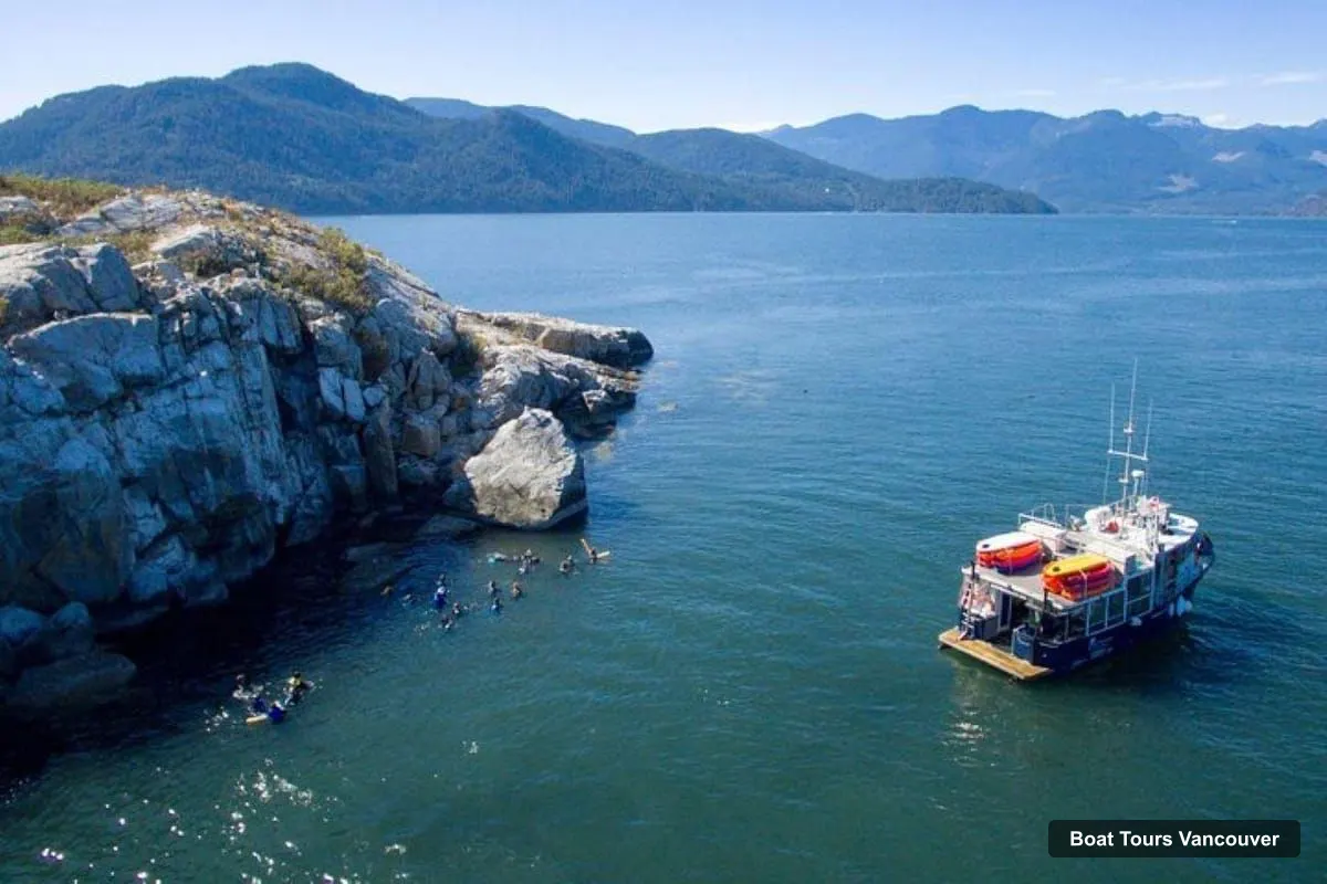 Vancouver Harbor Cruise – Seal Boat Tour with Snorkel & Kayak Options (photo 5)