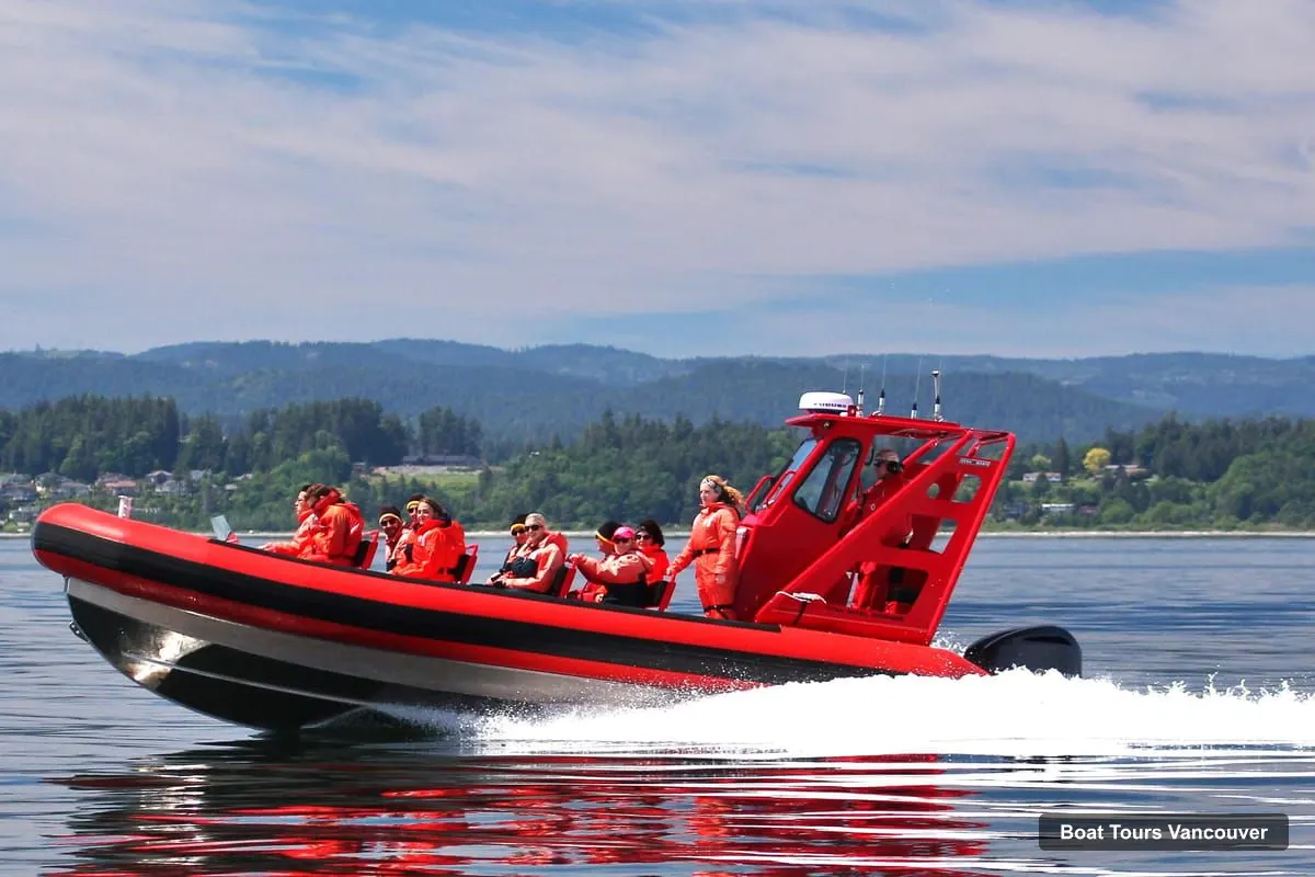 Vancouver Harbor Cruise – Whale Watching Tour with Guide (photo 4)
